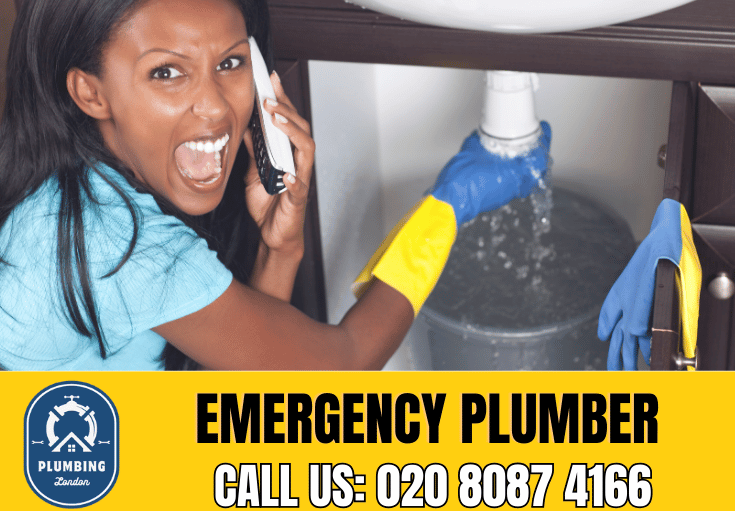 emergency plumber Plainstow